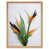 Light Brown Framed Paper