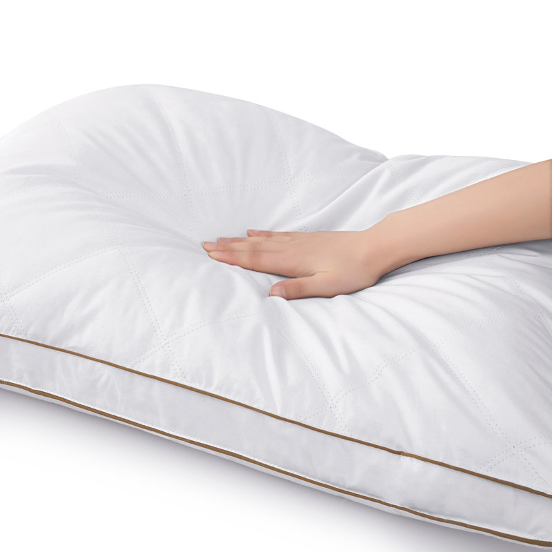 Ensemble de 2 oreillers en duvet d'oie à plumes et en duvet Gusset, Standard / Grand