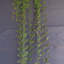 120cm Faux Foliage Plant