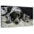 Dog And Cat Friends-107501239