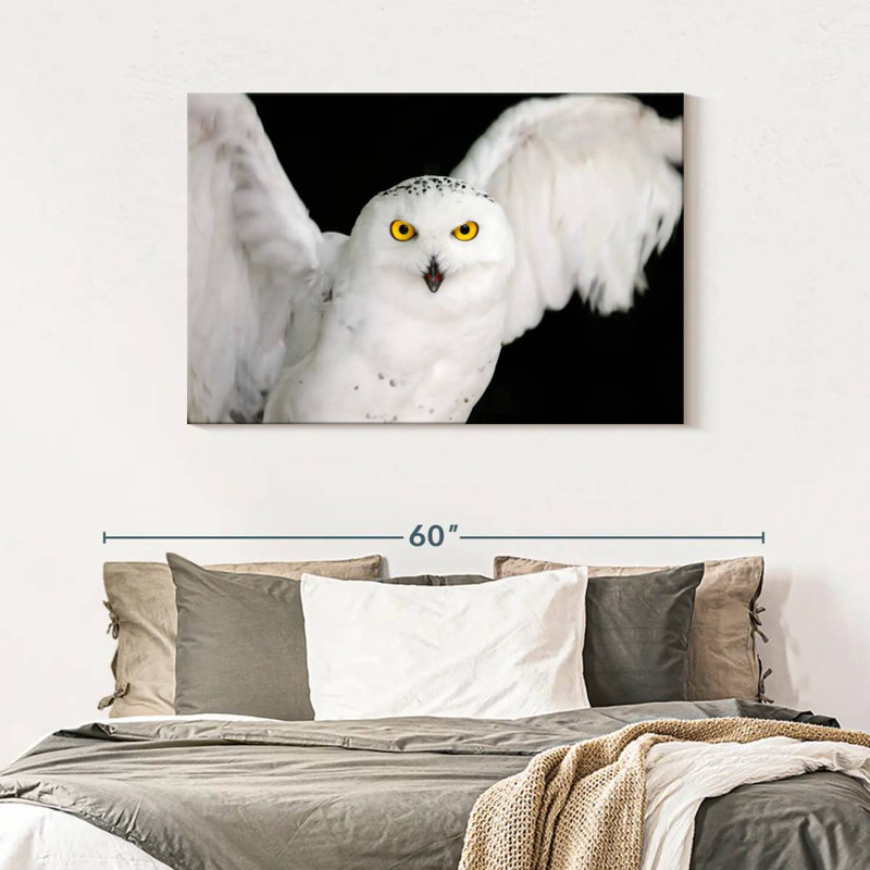 Brampt White Owl, 30" H x 45" W