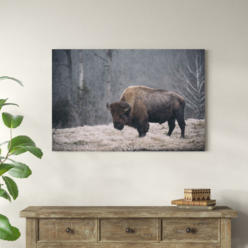 «Solitaire bison II» par Adam Mead - photographie sur toile tendue, H 32 po x l 48 po x P 1,25 po