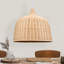 Ulancy Dome Shaped Pendant Light, 1 Light-1818970665