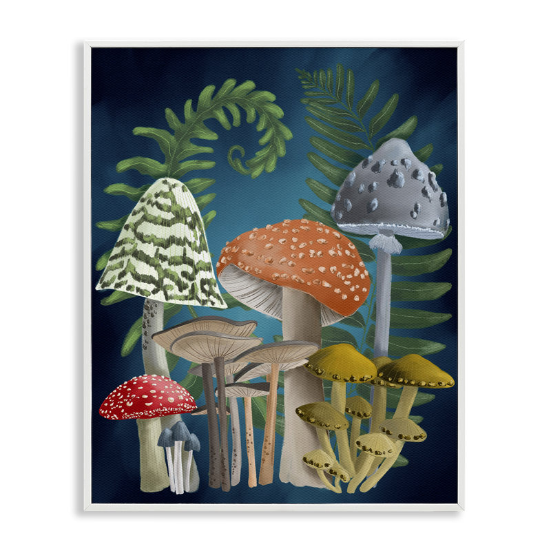 «Curling Ferns & Mushroom», art giclée par Regina Moore, Estampe numérique encadrée blanc bord de mer, H 14 po x l 11 po