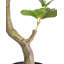 Artificial Plant Safra 120 cm Red
