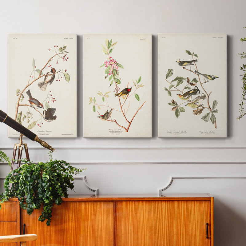 Pl. «194 Canadian Titmouse», ensemble de 3 impressions sur toile tendue, H 12 po x l 24 po x P 1 po