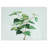 Tempered Glass Birch Tree Branch by Pierre-Joseph Redoute Chopping Board-49156768