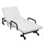 Mysie Folding Adjustable Bed