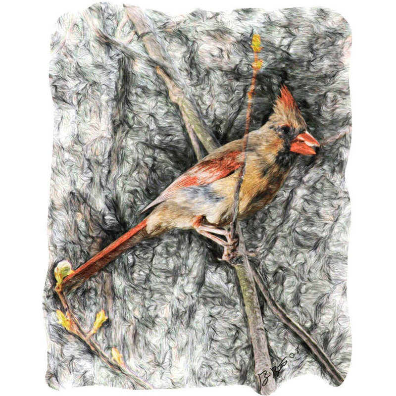 Adhésif décoratif Batie Cardinal, H 24 po x l 19 po