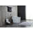 RunFine Group 1.28 GPF Elongated Comfort Height Chair Height Floor Mounted Bidet Toilet with Seat Included