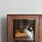 Simple and modern popular bookcase