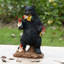  Gnomes in Trouble with Bear Garden Statue