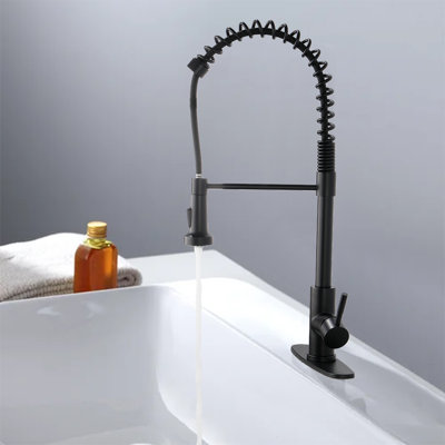 Home Adores Pull Down Kitchen Faucet