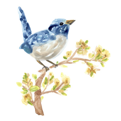 Oiseaux chanteurs au printemps I
