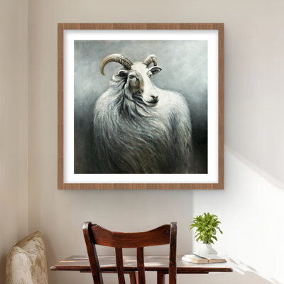 Chèvre cachemire - Animaux de salon, reproduction encadrée