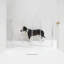 Barrière murale haute pour animaux Zig Zag -68771402-111684865