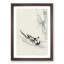 Wild Duck by Numata Kashu - Framed Print-55768410-55768414