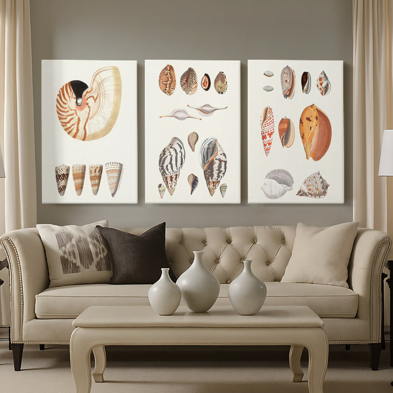 Shell Collection I - Toile tendue sur mesure avec châssis - 3 pièces, H 12 po x l 24 po