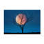 «Landscape Celestial Affair II», impression sur toile-90733447
