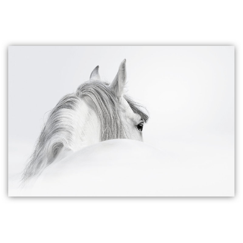 «The White Mystical Horse in Black / White», reproduction d'art graphique sur toile tendue