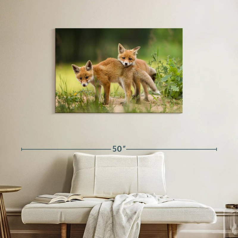 Brampt Fox Kits, 26" H x 39" W