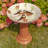 Manolita Ceramic Single Tier Birdbath