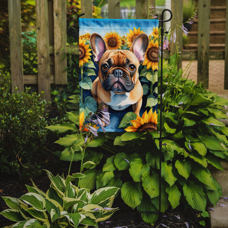 Lévrier irlandais dans le drapeau du jardin de tournesols, Bouledogue français brun