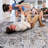 5X7 Area Rug - Non-Shedding, Stain , Improves Bedroom, Living Room, Dining Room Theme Stylish Non-Shedding For Ambiance-14686784