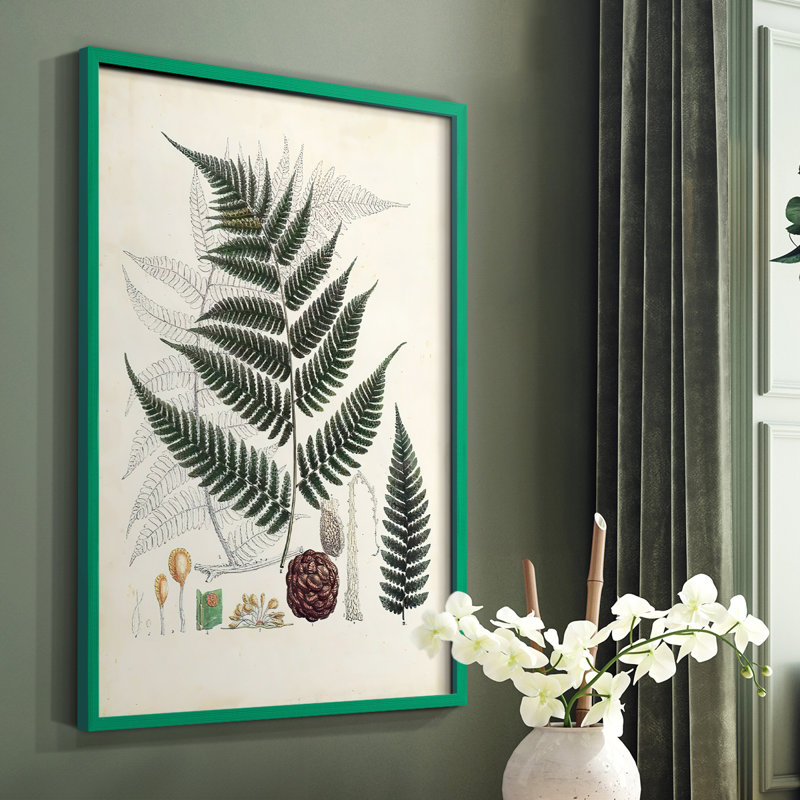 Collection de fougères VI, reproduction encadrée - bois massif, Vert, H 10 po x l 8 po