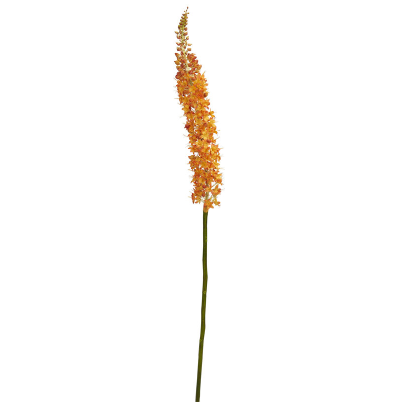 Fox Tail Arrangement, Orange