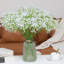 Arrangement floral Baby's Breath-1070477538-1070477547