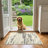 Machine Washable Area Rug With Non-Slip Backing-1710267841