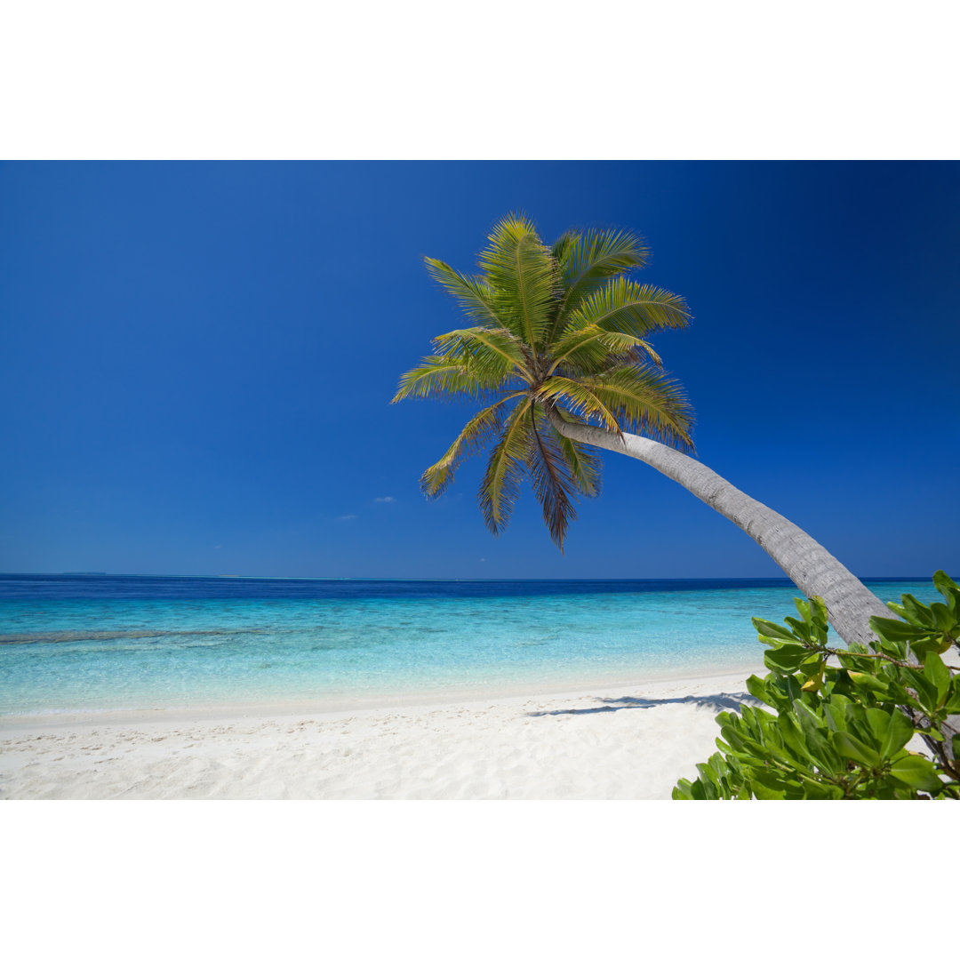 Einzelne Palme am Sandstrand - Leinwandbild