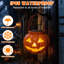 Ensemble de 2 lanternes solaires citrouilles d'Halloween, décor extérieur imperméable pour cour, pelouse et sentier