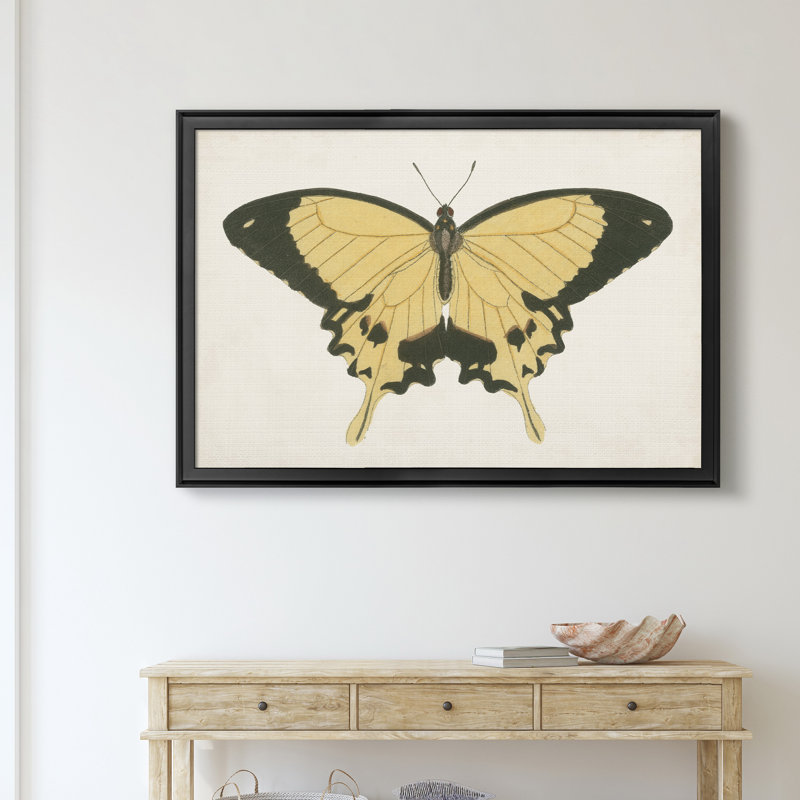 «Beautiful Butterfly I», impression sur toile encadrée, Noir, H 30,5 po x l 42,5 po x P 1,5 po