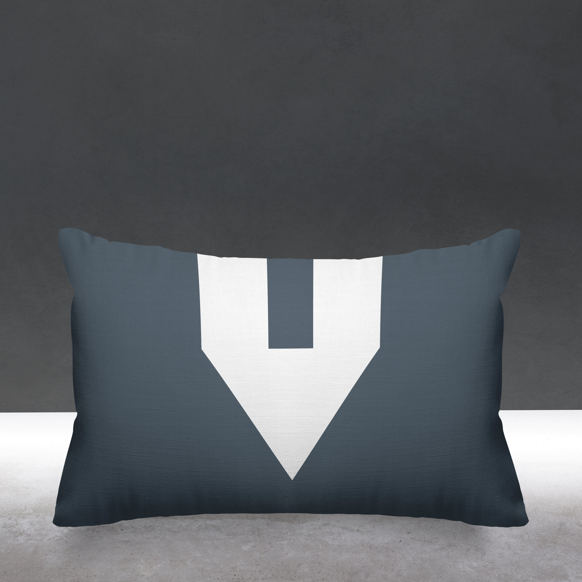 Luella Geometric Indoor/Outdoor Lumbar Throw Pillow, Gray