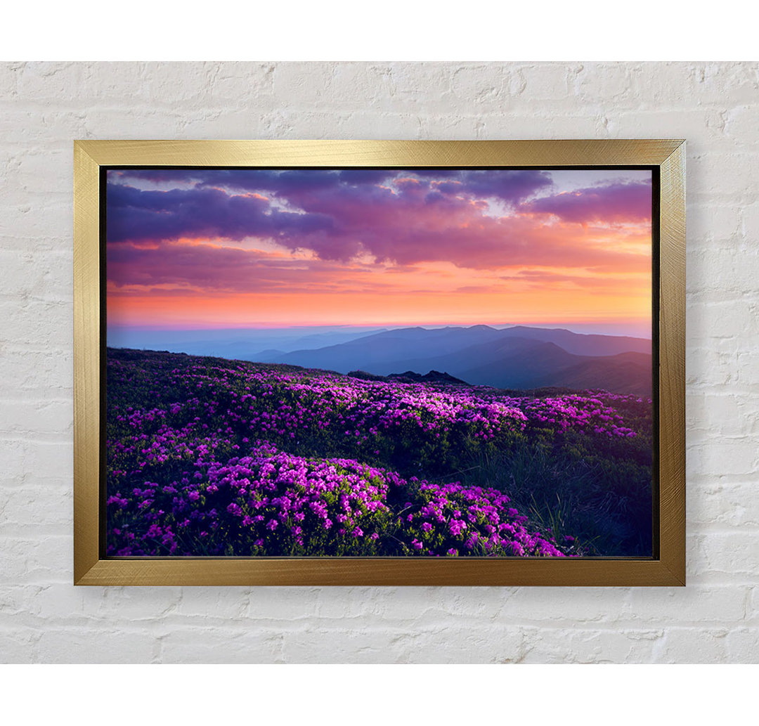 Purple Meadow Mountains - Druck