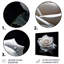 Blooming White Rose On Black - Rose, art mural-104687208-104687209