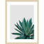 «Agave Cactus» par Orara Studio, impression sur bois encadrée-181059596