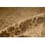 Chantel Oriental Area Rug