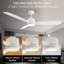 Emidia 52 inch Standard Ceiling Fan with LED Lights Indoor-1491014129-1484851275