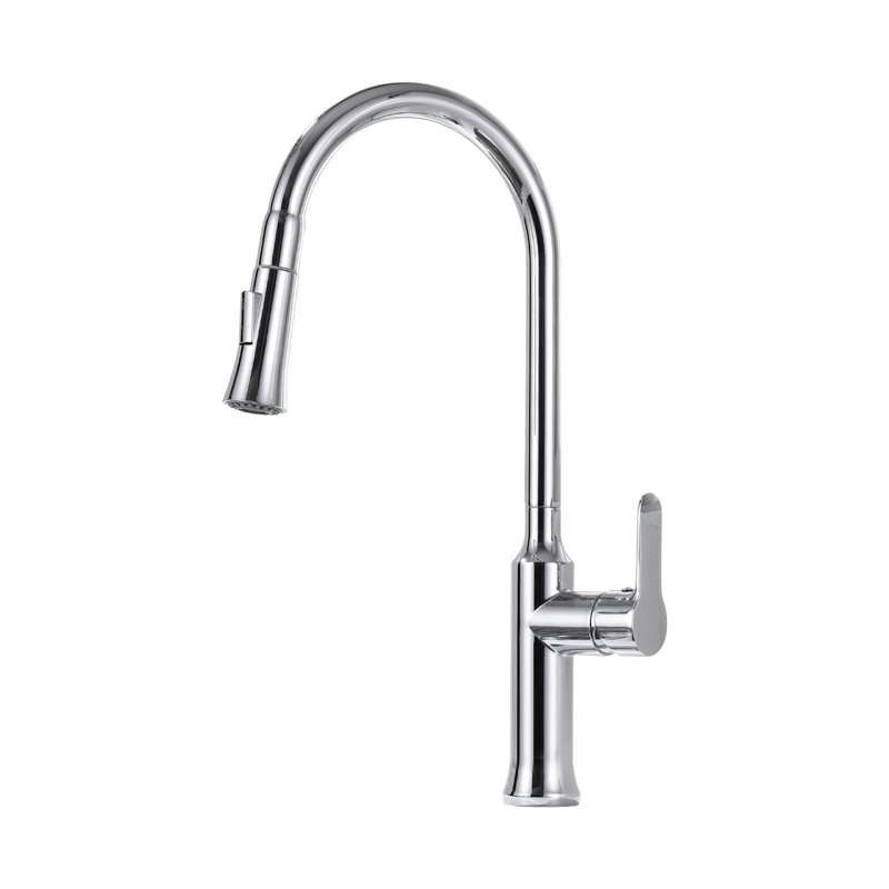 Single-Handle Pull-Down Sprayer Kitchen Faucet in Chrome