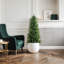 Faux Cypress Tree in Pot - Set of 2 Artificial Plants Outdoor Indoor for Home Office Decor -1223938544