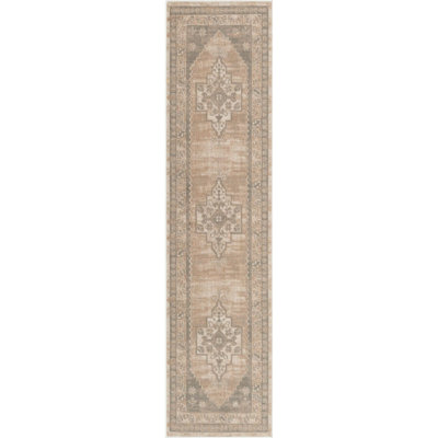 Matthei Oriental Indoor Rug