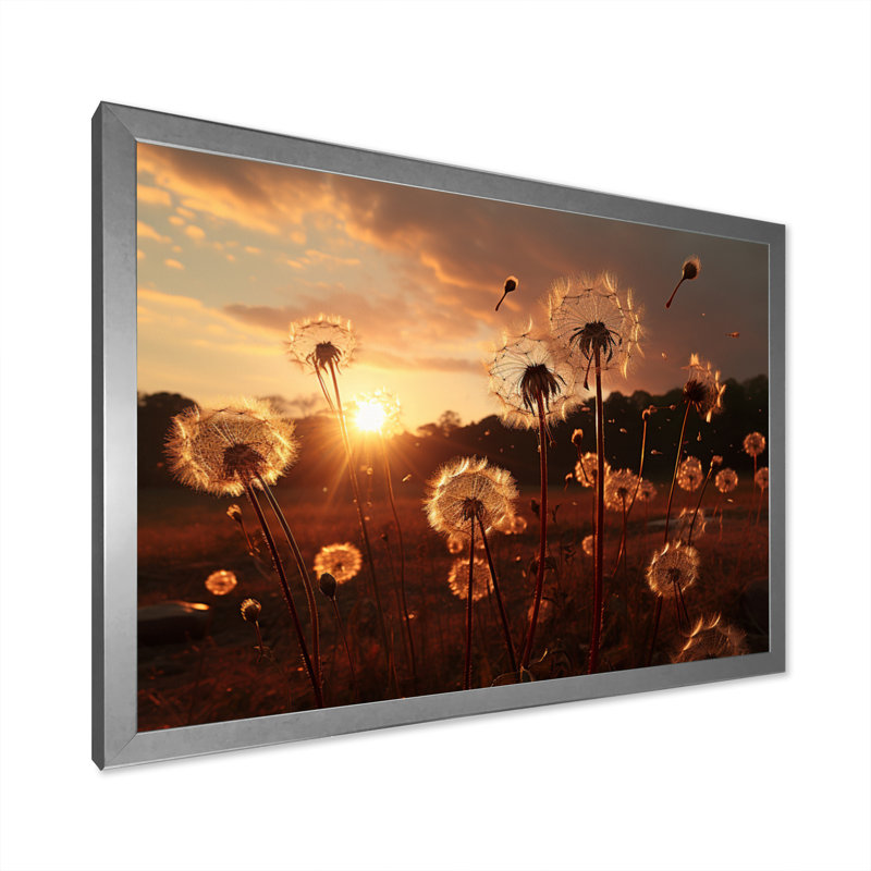 Pissenlit, art mural sur toile, Reproduction de nature champ coucher de soleil - Champ de pissenlit coucher de soleil I