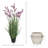 Lavender Drop-In and Stone Pot