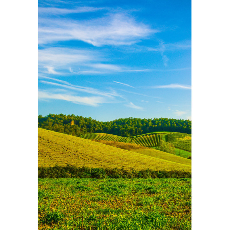 Tuscan Countryside - Wrapped Canvas Print, 30cm H x 20cm W