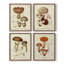 «Mushroom Variétés I», ensemble de 4 encadrées-434044224-434044351