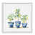 Giclée encadrée blanc bord de mer
