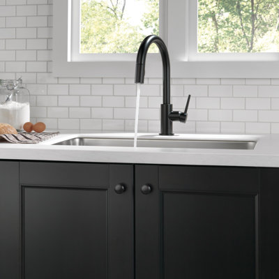 Robinet de cuisine Trinsic